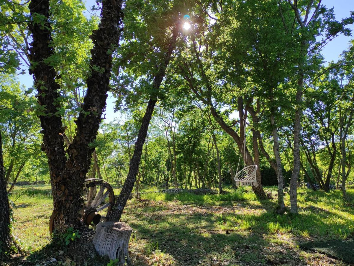 Zen Promona Villa Puljane Dış mekan fotoğraf